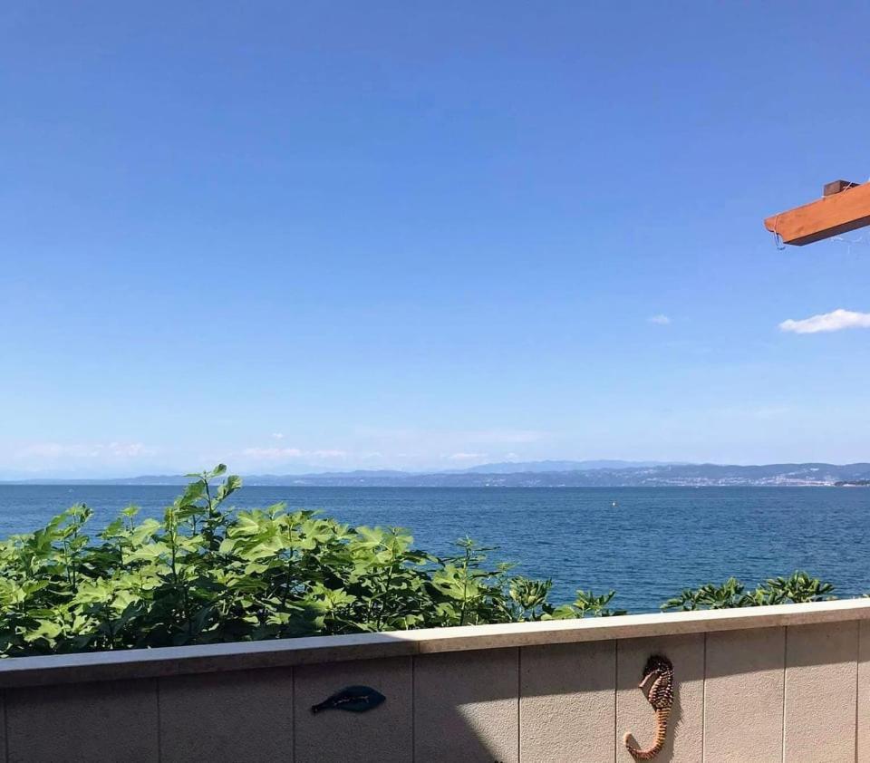 Apartmaji Pri Bosi Nogi Izola Dış mekan fotoğraf